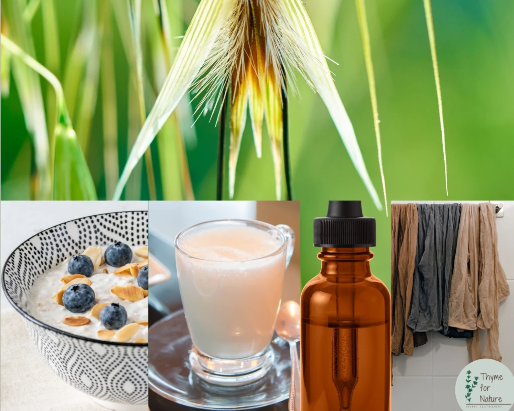 Collage of images showing healthy porridge and natural clothes dyes