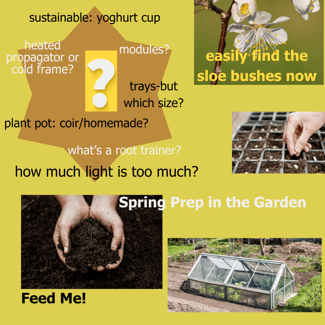 Preparing the Garden for Spring Growth