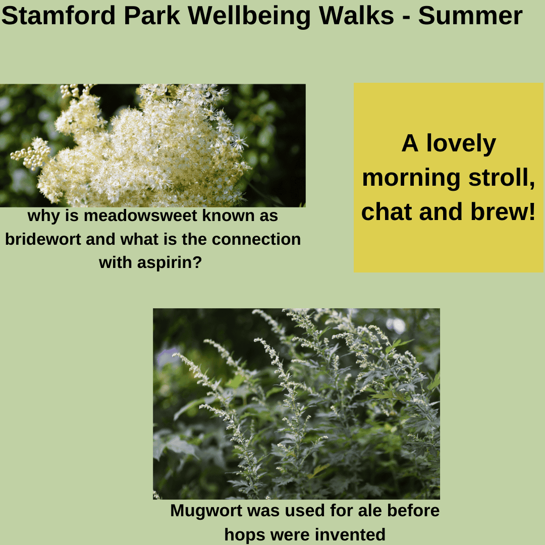 Summer Walk in Stamford Park